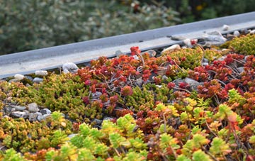 the cost of West Stockwith green roof installation