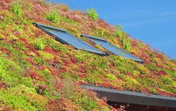 West Stockwith living roof systems